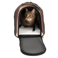 Pet Carrier 12 Pet Carrier -Pet Supplies Store 100821 tragetasche fg 5136 4
