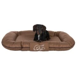 Strong And Soft Dog Cushion 15 Strong And Soft Dog Cushion -Pet Supplies Store 104126 strong soft matratze fg 6395 6