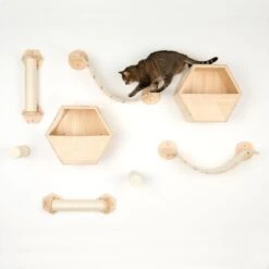 Sia Wall Mounted Suspension Bridge 14 Sia Wall Mounted Suspension Bridge -Pet Supplies Store 105348 105349 105455 105456 parcour fg 8565 2