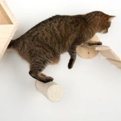 Korbin Wall Mounted Scratch Post -Pet Supplies Store 105348 kratzstamm korbin fg 8518 6