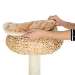 Banana Leaf Bali Cat Tree 16 Banana Leaf Bali Cat Tree -Pet Supplies Store 105457 banana leaf kratzbaum bali fg 8 5