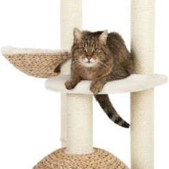 Laguna Cat Tree -Pet Supplies Store 105458 kratzbaum laguna fg 6 6