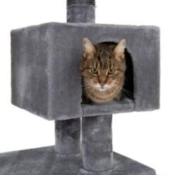 Nox Scratching Tree -Pet Supplies Store 105460 kratzbaum fg 7114 8