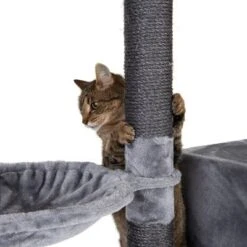 Nox Scratching Tree -Pet Supplies Store 105460 kratzbaum fg 7115 9