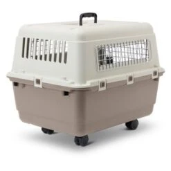 Savic Feria Transport Crate With Wheels -Pet Supplies Store 105470 savic transportbox feria mit rollen gr4 hs02 0