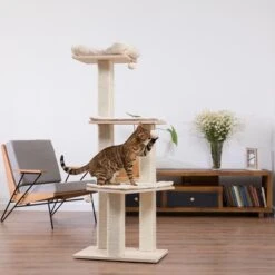 Natural Paradise Scratching Tree - Orchid L