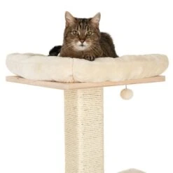 Natural Paradise Scratching Tree - Orchid L 15 Natural Paradise Scratching Tree - Orchid L -Pet Supplies Store 109398 katze fg 9360 6