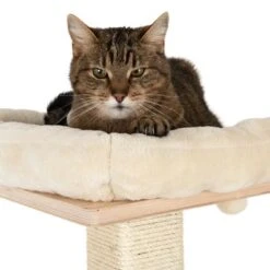 Natural Paradise Scratching Tree - Orchid M 16 Natural Paradise Scratching Tree - Orchid M -Pet Supplies Store 109398 katze fg 9361 8