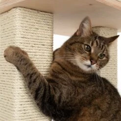 Natural Paradise Scratching Tree - Orchid L 16 Natural Paradise Scratching Tree - Orchid L -Pet Supplies Store 109398 katze fg 9367 9