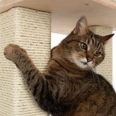 Natural Paradise Scratching Tree - Orchid L 9 Natural Paradise Scratching Tree - Orchid L - Image 7