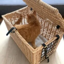 Aumüller Wicker Basket Cat Den -Pet Supplies Store 109499 aumuller katzentransportkorb wohnhohle 02 2