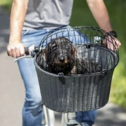 Trixie Front-Mounted Bicycle Basket 12 Trixie Front-Mounted Bicycle Basket -Pet Supplies Store 110145 trixie front fahrradkorb rattan hs 10 3
