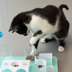 Slo-Mo Cat Toy -Pet Supplies Store 110a75 1 8