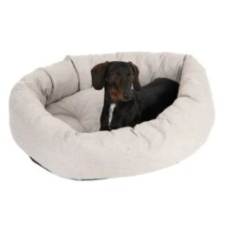 Modern Living Bailey Dog Bed -Pet Supplies Store 111544 hundebett baily fg 0610 8