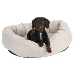 Modern Living Bailey Dog Bed -Pet Supplies Store 111544 hundebett baily fg 0614 5