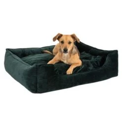 Modern Living Fern Dog Bed 15 Modern Living Fern Dog Bed -Pet Supplies Store 111546 hundebett fern fg 0532 4