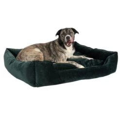 Modern Living Fern Dog Bed 16 Modern Living Fern Dog Bed -Pet Supplies Store 111547 hundebett fern fg 0546 0