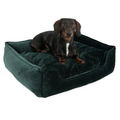 Modern Living Fern Dog Bed 7 Modern Living Fern Dog Bed - Image 5