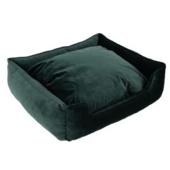 Modern Living Fern Dog Bed
