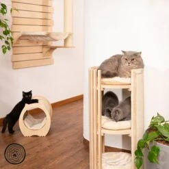 Natural Paradise Scratching Mat Cat Bed - Peony 15 Natural Paradise Scratching Mat Cat Bed - Peony -Pet Supplies Store 113004 np kl 1000x1000 logo la dsc0270 2