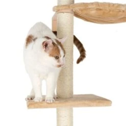 Orion Cat Tree 15 Orion Cat Tree -Pet Supplies Store 113601 orion mit katze fg 1467 8