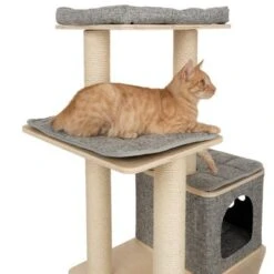 Modern Living Havana Scratching Tree -Pet Supplies Store 115902 modern living kb havana fg 4247 2