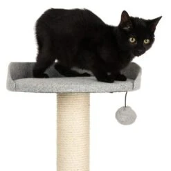 Modern Living Oxford Scratching Tree 12 Modern Living Oxford Scratching Tree -Pet Supplies Store 115904 modern living kb oxford fg 4273 2
