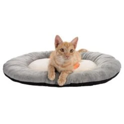 Ginger Cat Cushion 11 Ginger Cat Cushion -Pet Supplies Store 116106 katzenkissen ginger fg 3535 7