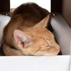 XL Cat Den With Scratching Pad Winter Edition 15 XL Cat Den With Scratching Pad Winter Edition -Pet Supplies Store 116301 xl katzenhaus home inkl kratzbrett fg 3669 3