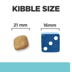 Hill's Prescription Diet Canine T/d Mini Dental Care -Pet Supplies Store 120 pd td mini dog bk27209m food look uk 4