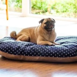 Aumüller Spelt Cushion 12 Aumüller Spelt Cushion -Pet Supplies Store 121697 aumueller dinkelkissen hs 05 3