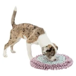 Trixie Junior Sniff And Search Mat 15 Trixie Junior Sniff And Search Mat -Pet Supplies Store 122207 pla trixie junior schnueffelteppich 38cm hs 05 4