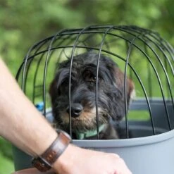 Trixie Friends On Tour Bicycle Basket For Luggage Rack -Pet Supplies Store 122212 trixie friendsontour fahrradkorb gepaecktraeger hs 15 1