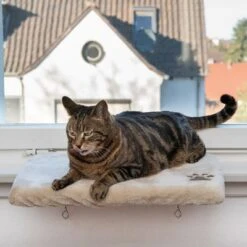 Pluschi Windowsill Seat -Pet Supplies Store 129296 mit katze fg 5737 7