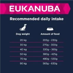 Eukanuba Adult Large Breed Lamb & Rice -Pet Supplies Store 135797 eukanuba adult large breed lamm reis feeding 3 9