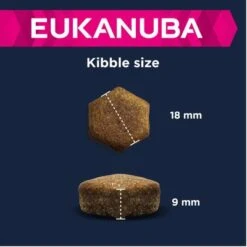 Eukanuba Adult Large Breed Lamb & Rice -Pet Supplies Store 135797 eukanuba adult large breed lamm reis kibble 4 2