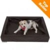 Hygienic Dog Bed -Pet Supplies Store 13686 6