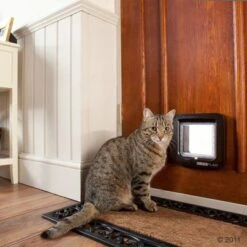 SureFlap Microchip Cat Flap -Pet Supplies Store 136978 sureflap braun mit katze 09 2011 2