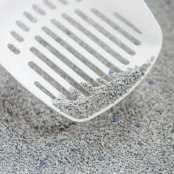 Intersand Classic Unscented Cat Litter -Pet Supplies Store 139699 intersand classic katzenstreu parf merei 7kg hs 02 4