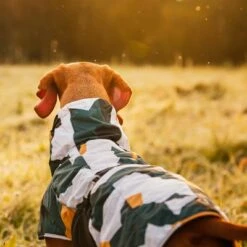 Rukka® Stormy Dog Coat - Camouflage -Pet Supplies Store 139796 lfashion rukka stormy hundemantel camouflage hs 05 0