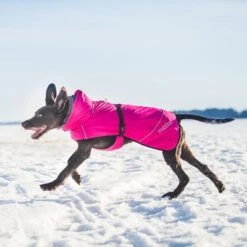 Rukka® Warm-up Dog Coat - Pink -Pet Supplies Store 139904 lfashion rukka warmup hundemantel hotpink 38cm hs 05 4