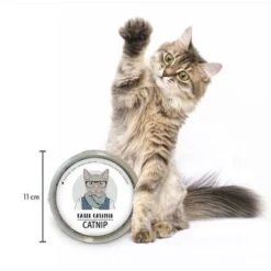 Kater Kasimir Catnip 14 Kater Kasimir Catnip -Pet Supplies Store 144896 asaquaristik kater kasimir katzenminze cat 60g hs 03 9