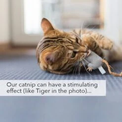 Kater Kasimir Catnip 11 Kater Kasimir Catnip -Pet Supplies Store 144896 asaquaristik kater kasimir katzenminze cat 60g hs 06 3