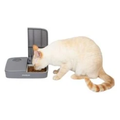 PetSafe® Automatic 2 Meal Pet Feeder 12 PetSafe® Automatic 2 Meal Pet Feeder -Pet Supplies Store 145997 rasiosystems petsafe futterautomat 2mahlzeiten catdog 2x355xml hs 07 9
