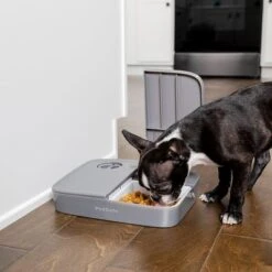 PetSafe® Automatic 2 Meal Pet Feeder 15 PetSafe® Automatic 2 Meal Pet Feeder -Pet Supplies Store 145997 rasiosystems petsafe futterautomat 2mahlzeiten catdog 2x355xml hs 08 3