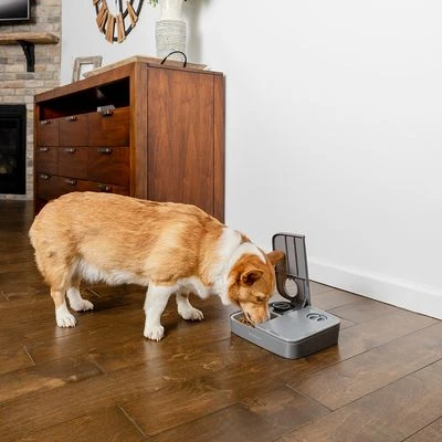 PetSafe® Automatic 2 Meal Pet Feeder 10 PetSafe® Automatic 2 Meal Pet Feeder - Image 8