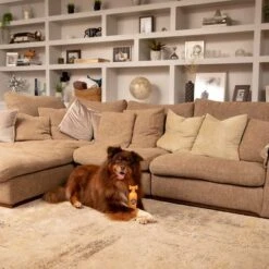 Pet Head Ditch The Dirt Shampoo -Pet Supplies Store 159700 companyofanimals pethead ditchthedirt shampoo 300ml hs 06 9