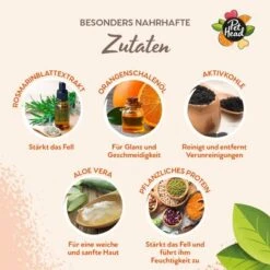 Pet Head Ditch The Dirt Shampoo -Pet Supplies Store 159700 companyofanimals pethead ditchthedirt shampoo 300ml hs 08 6