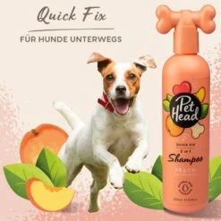 Pet Head Quick Fix 2in1 Shampoo 11 Pet Head Quick Fix 2in1 Shampoo -Pet Supplies Store 159701 companyofanimals pethead quickfix 2in1 shampoo 300ml hs 08 5