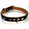 Heim Leather Dog Collar - Stars 2 Heim Leather Dog Collar - Stars -Pet Supplies Store 160891 heim halsband stars neu 1